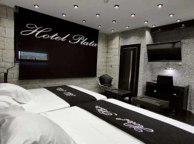 Otel Plata 3*
